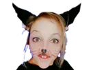 :cat_gril: