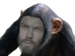 :roi_des_autistes_singe: