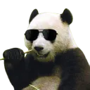 :Pandacool: