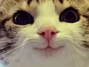 :marrant_malice: