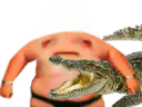 :avortin_crocodile:
