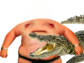 :avortin_crocodile: