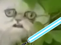 :straycatjedi: