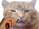 :chat_fume_: