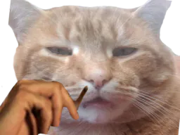 :chat_fume_: