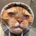ChatBatte