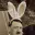 Photo de profil de Zyklon