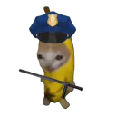 :chananePolicier: