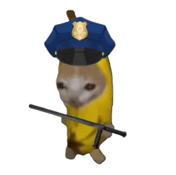 :chananePolicier: