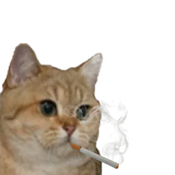 :Sodium_fume: