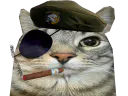 :CS_MGS:
