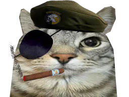 :CS_MGS: