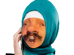 :Voile_telephone_: