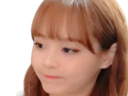 :chuu_vulpes: