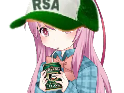 :rsa_kj: