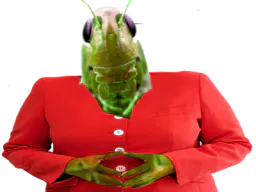 :insecte_nwo: