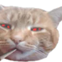 MeguNyan3