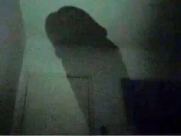 :ombre_bite: