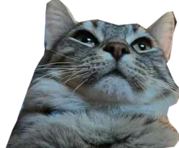 :cs_boomer: