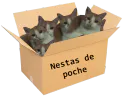 :Nesta_de_poche: