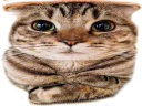 :OuaisTaRaison: