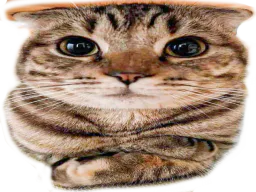 :OuaisTaRaison: