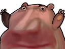 :Risiourson: