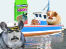 :Bateau_hamster: