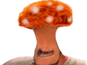 :Champi: