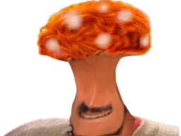 :Champi: