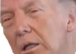 :trump_fatigue_transformation: