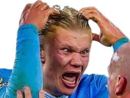 :haalandfou2: