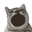 :CS_Blabla: