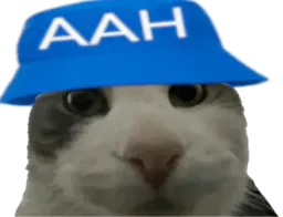 :Pouet_AAH: