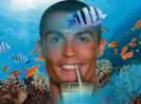:cr7paille: