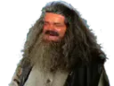 :Hagrid_rit: