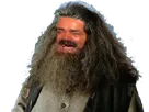 :Hagrid_rit: