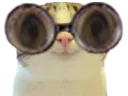 :Marrant_lunettes2: