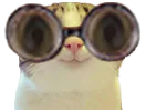 :Marrant_lunettes2: