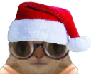 :chatnoel: