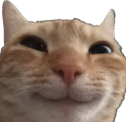 :Chat_pito: