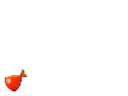 :fish: