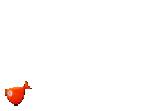 :fish: