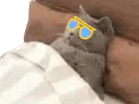 :Chadorglass: