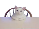 :chat_table: