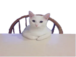 :chat_table: