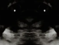 :immondice_depressive: