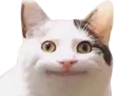 :chat_sourire_rond: