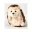 Photo de profil de RobertHerisson