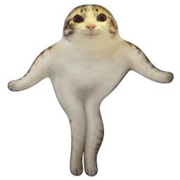 :chat_marrant_danse:
